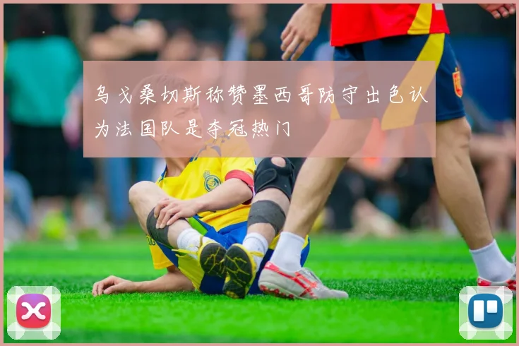 乌戈桑切斯称赞墨西哥防守出色认为法国队是夺冠热门